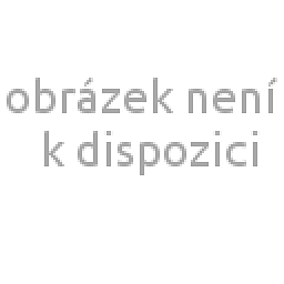 Obrázek pro produkt Ovocný čaj Škorica jablko v dóze 50g