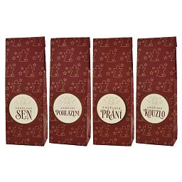 Obrázek pro produkt Anjelské Vianoce