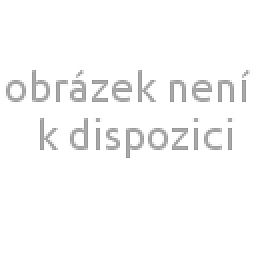 Obrázek pro produkt Darčeková taška Hrejivé Vianoce